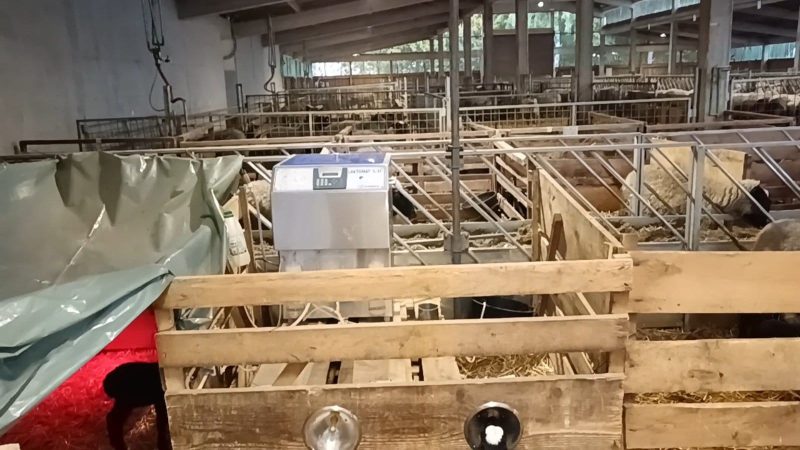 WhatsApp Image 2026-02-16 at 05.59.18 (1)