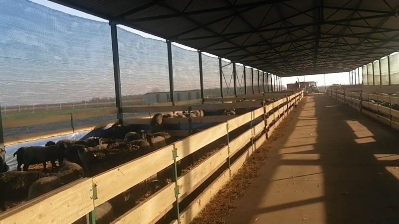 WhatsApp Image 2026-02-16 at 05.59.18 (2)