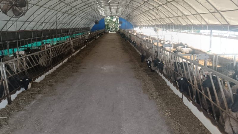 WhatsApp Image 2026-02-16 at 05.59.18 (3)