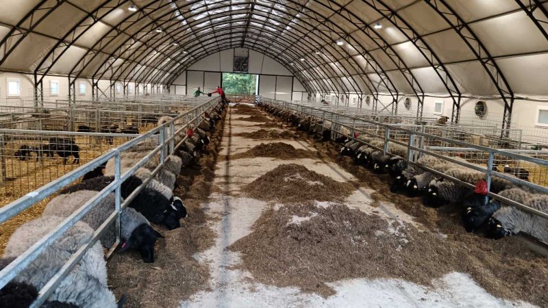 WhatsApp Image 2026-02-16 at 05.59.18 (4)