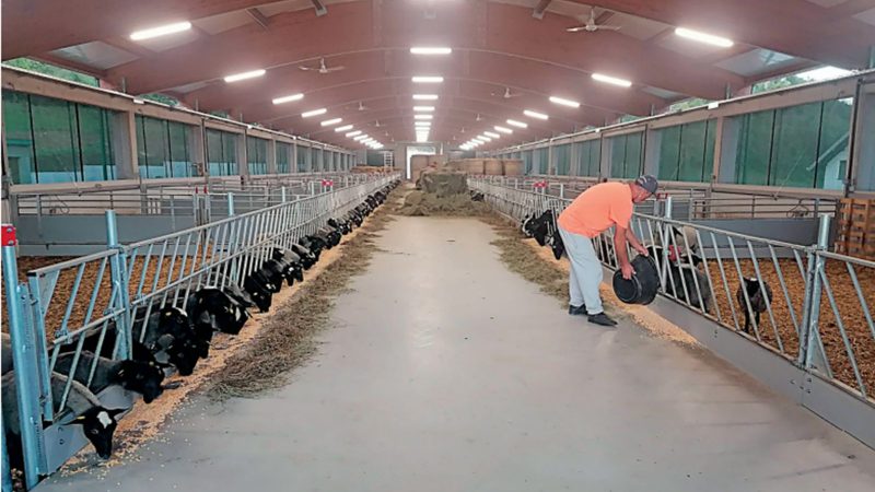 WhatsApp Image 2026-02-16 at 05.59.19 (1)