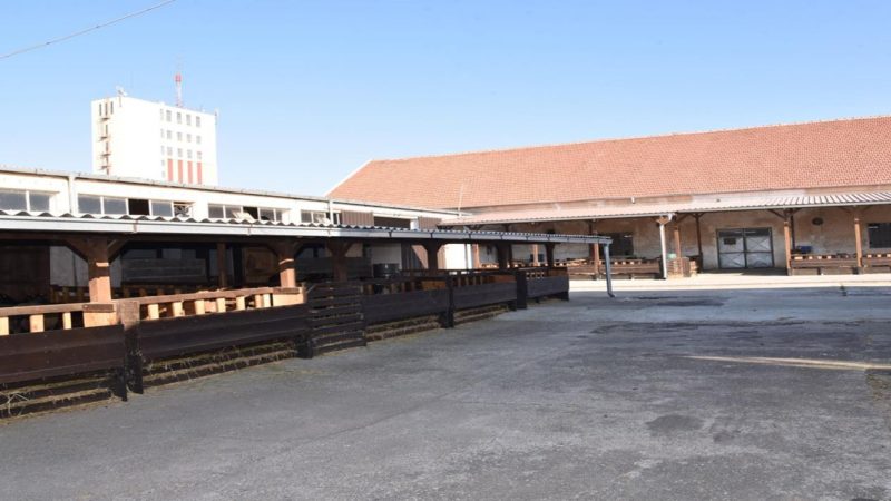 WhatsApp Image 2026-02-16 at 05.59.19 (2)