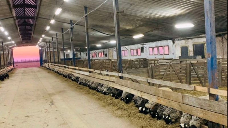 WhatsApp Image 2026-02-16 at 05.59.19