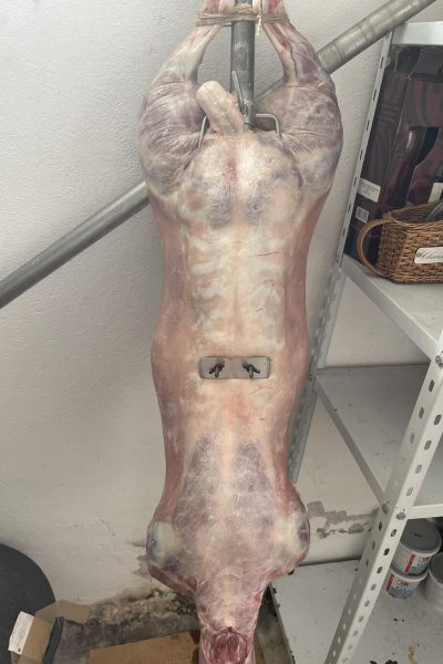 WhatsApp Image 2026-02-16 at 05.59.20 (2)