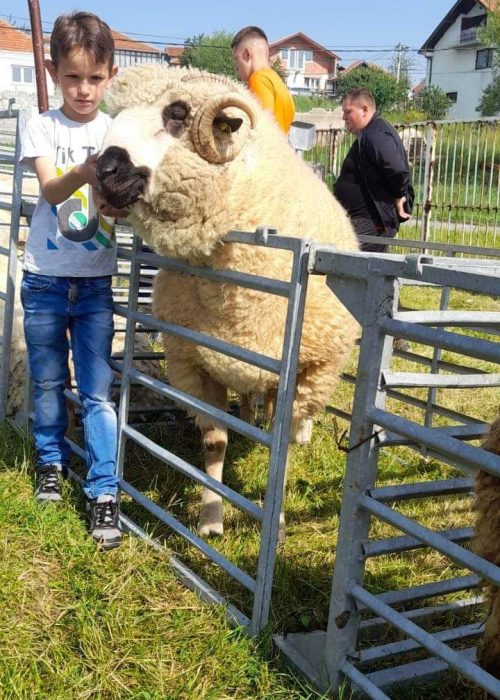 WhatsApp Image 2026-02-19 at 14.54.10