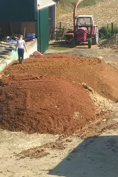 WhatsApp Image 2026-02-22 at 03.01.22